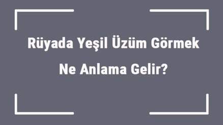 Rüyada Yeşil Üzüm Görmek Ne Anlama Gelir Rüyada Yeşil Üzüm Yemek Ve Toplamak Anlamı