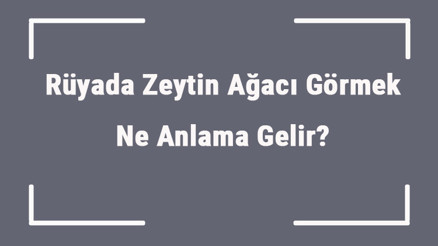 Rüyada Zeytin Ağacı Görmek Ne Anlama Gelir Rüyada Zeytin Ağacı Dikmek Ve Almak Anlamı Rüyada Zeytin Ağacı Görmek Ne Anlama Gelir Rüyada Zeytin Ağacı Dikmek Ve Almak Anlamı