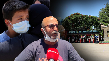 Gaziantepte hayvanat bahçesinde aslan paniği