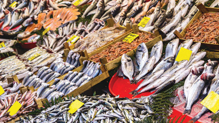 Su ürünleri ihracatı yüzde 169 arttı Su ürünleri ihracatı yüzde 169 arttı