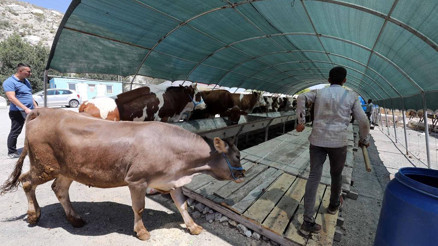 Pazarlar hareketli bu yıl da kurallı Pazarlar hareketli bu yıl da kurallı