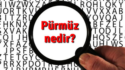 Pürmüz nedir, nasıl çalışır Pürmüz nerelerde ve nasıl kullanılır