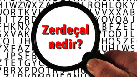 Zerdeçal nedir ve ne işe yarar Zerdeçal nerelerde, nasıl kullanılır ve faydaları nelerdir Zerdeçal nedir ve ne işe yarar Zerdeçal nerelerde, nasıl kullanılır ve faydaları nelerdir
