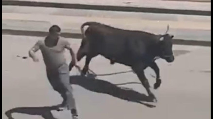 Panik anları Sahibinin elinden kaçan kurbanlık boğa, kafeteryaya girdi Panik anları Sahibinin elinden kaçan kurbanlık boğa, kafeteryaya girdi