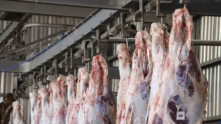 Kurban eti buzdolabına ne zaman koyulur Kurban eti ne kadar dinlendirilmeli Uzmanlardan dikkat çeken açıklamalar