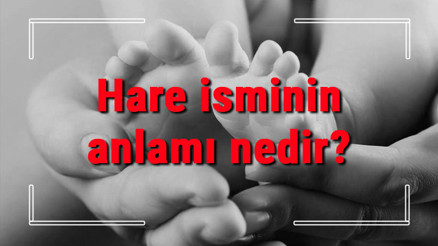 Hare isminin anlamı nedir Hare ne demek Hare adının özellikleri, analizi ve kökeni