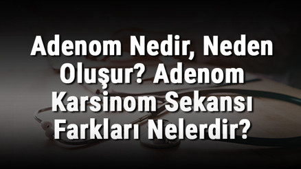 Adenom Nedir, Neden Oluşur Adenom Karsinom Sekansı Farkları Nelerdir