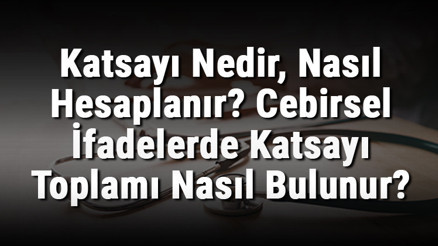 Katsayı Nedir, Nasıl Hesaplanır Cebirsel İfadelerde Katsayı Toplamı Nasıl Bulunur