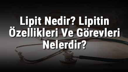 Lipit Nedir Lipitin Özellikleri Ve Görevleri Nelerdir