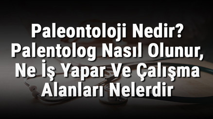 Paleontoloji Nedir Palentolog Nasıl Olunur, Ne İş Yapar Ve Çalışma Alanları Nelerdir Paleontoloji Nedir Palentolog Nasıl Olunur, Ne İş Yapar Ve Çalışma Alanları Nelerdir