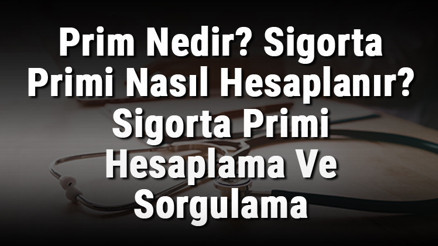 Prim Nedir Sigorta Primi Nasıl Hesaplanır Sigorta Primi Hesaplama Ve Sorgulama