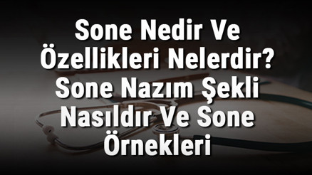 Sone Nedir Ve Özellikleri Nelerdir Sone Nazım Şekli Nasıldır Ve Sone Örnekleri Sone Nedir Ve Özellikleri Nelerdir Sone Nazım Şekli Nasıldır Ve Sone Örnekleri