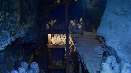 Divle obruk peyniri, 36 metre derinliğindeki mağarada olgunlaşmayı bekliyor