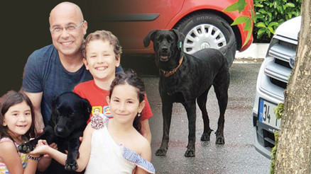 Kaybolan köpekleri için harçlıklarını ödül koydular