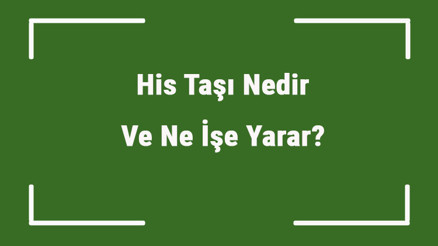 His Taşı Nedir Ve Ne İşe Yarar His Taşı Nasıl Anlaşılır Ve Kullanılır His Taşı Faydaları Ve Özellikleri