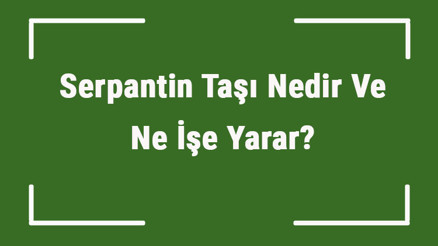 Serpantin Taşı Nedir Ve Ne İşe Yarar Yılan Taşı Nasıl Anlaşılır Ve Kullanılır Serpantin Taşı Faydaları Ve Özellikleri Serpantin Taşı Nedir Ve Ne İşe Yarar Yılan Taşı Nasıl Anlaşılır Ve Kullanılır Serpantin Taşı Faydaları Ve Özellikleri