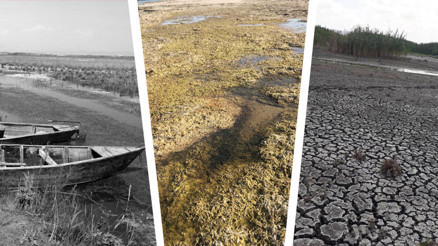 Eber Gölünde yürek burkan görüntü Büyük pişmanlık: O da canlıymış, bilemedik