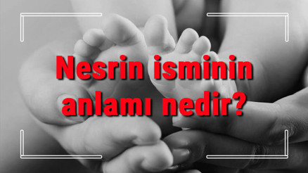 Nesrin isminin anlamı nedir Nesrin ne demek Nesrin adının özellikleri, analizi ve kökeni Nesrin isminin anlamı nedir Nesrin ne demek Nesrin adının özellikleri, analizi ve kökeni