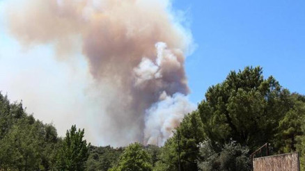 Adana’da 4 ilçedeki 6 noktada orman yangını
