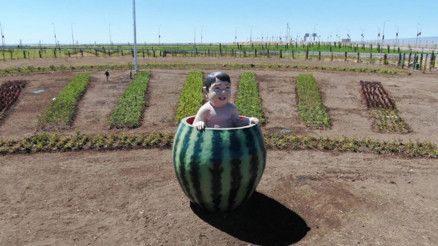 Kavun karpuzla sanat olur mu