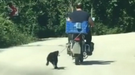 Görüntü tepki çekti, Valilik harekete geçti Sürücü yakalandı