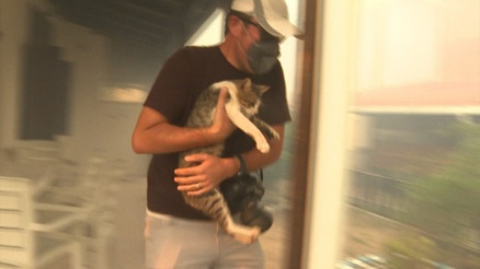 Milastaki yangında evin balkonunda mahsur kalan kedi gazeteciler tarafından kurtarıldı