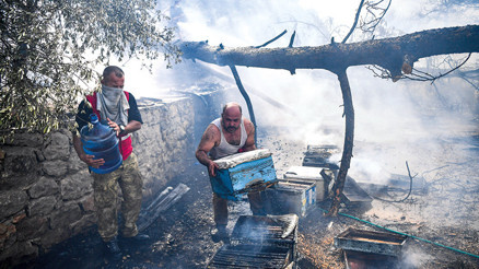 Arı kovanları kül oldu