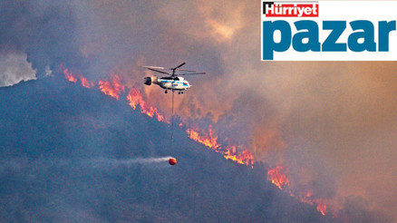 Doğanın gerçekleriyle ezberimizdekiler farklı