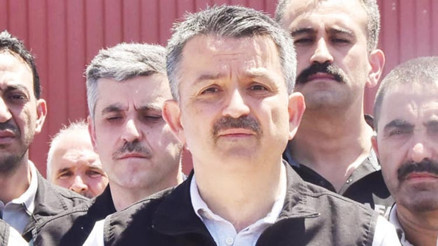 Yanan yerler yeniden ağaçlandırılacak