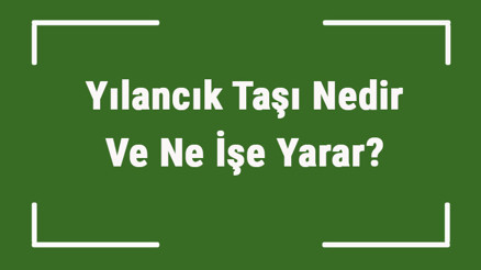 Yılancık Taşı Nedir Ve Ne İşe Yarar Yılancık Taşı Nasıl Anlaşılır Ve Kullanılır Yılancık Taşı Faydaları Ve Özellikleri