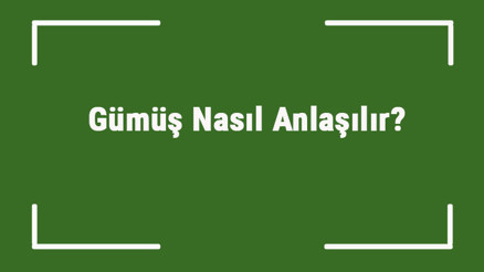 Gümüş Nasıl Anlaşılır Kaliteli, Saf Ve İmitasyon Gümüş Nasıl Ayırt Edilir