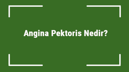 Angina Pektoris Nedir Angina Pektoris Tedavisi, Özellikleri Ve Nedenleri..