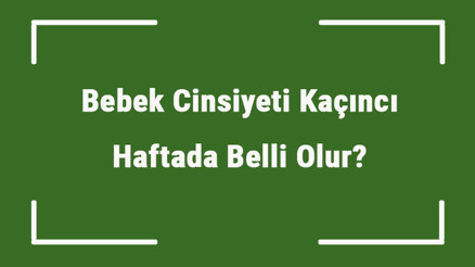 Bebek Cinsiyeti Kaçıncı Haftada Belli Olur Erkek, Kız Bebeğin Cinsiyeti Kaçıncı Ayda Netleşir