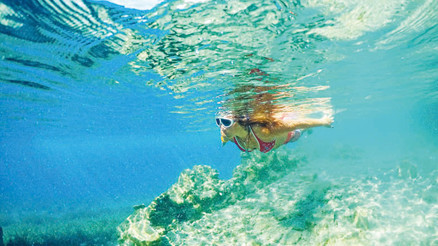 Yangın sonrası bizi bekliyorlar... Şimdi maviye sarılma zamanı Yangın sonrası bizi bekliyorlar... Şimdi maviye sarılma zamanı