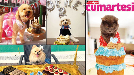 Kutlama bu kez onlar için Kutlama bu kez onlar için