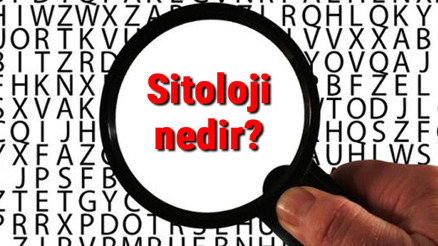 Sitoloji nedir, neyi inceler Sitoloji alanında ilk çalışma yapan kimdir Sitoloji nedir, neyi inceler Sitoloji alanında ilk çalışma yapan kimdir