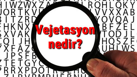 Vejetasyon nedir, ne zaman yakılır Coğrafyada vejetasyon süresi nedir Vejetasyon nedir, ne zaman yakılır Coğrafyada vejetasyon süresi nedir