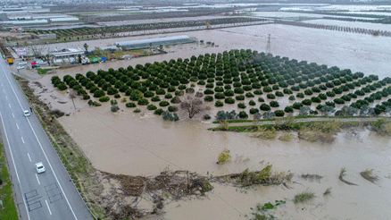 RİSK BÜYÜK ZAMAN KISA