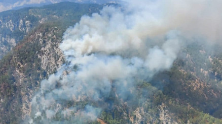 Köyceğizde orman yangını Ekipler müdahale ediyor