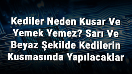 Kediler Neden Kusar Ve Yemek Yemez Sarı Ve Beyaz Şekilde Kedilerin Kusmasında Yapılacaklar Kediler Neden Kusar Ve Yemek Yemez Sarı Ve Beyaz Şekilde Kedilerin Kusmasında Yapılacaklar