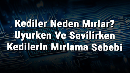 Kediler Neden Mırlar Uyurken Ve Sevilirken Kedilerin Mırlama Sebebi Kediler Neden Mırlar Uyurken Ve Sevilirken Kedilerin Mırlama Sebebi