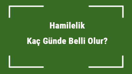 Hamilelik Kaç Günde Belli Olur Hamilelik Belirtileri Kaç Günde Oluşur Hamilelik Kaç Günde Belli Olur Hamilelik Belirtileri Kaç Günde Oluşur