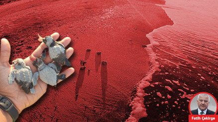 Jandarma katilleri arıyor... Peki carettaları kim öldürdü