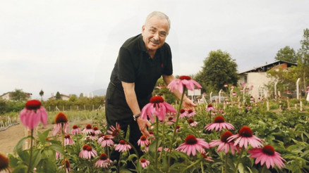 Ordu’ya aromatik bitki dopingi