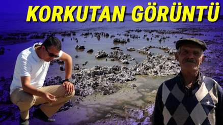 Van Gölünde korkutan görüntü 1 kilometreyi aştı: Hayatımda böylesini görmedim