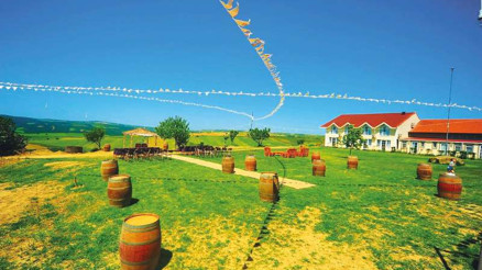 Şimdi ‘bağ’ zamanı...