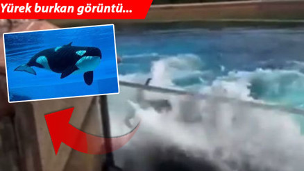 44 yıllık çaresizlik Adeta Ölmek istiyorum dedi