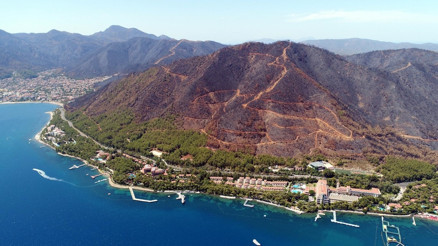 Muğla Orman Bölge Müdürü: 15 günlük yangınlarda 52 bin hektar alan zarar gördü