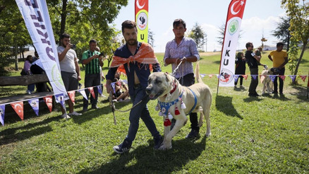 Patili dostlar şampiyonada