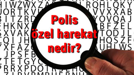 Polis özel harekat nedir, ne iş yapar ve nasıl olunur Pöh olma şartları ve maaşları Polis özel harekat nedir, ne iş yapar ve nasıl olunur Pöh olma şartları ve maaşları